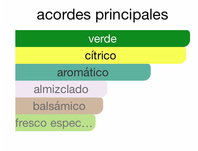 Lattafa Pride (infantil) - Riders