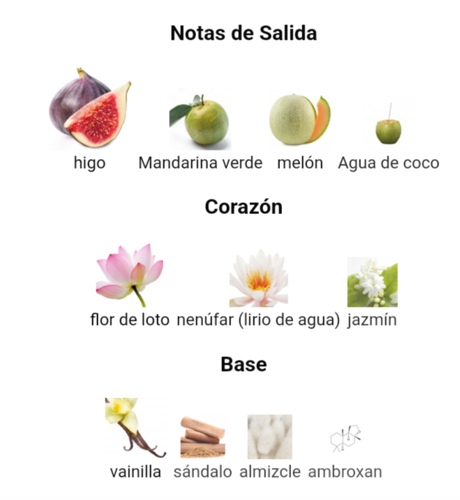 Perfume árabe Mayar Natural Intense- Lattafa