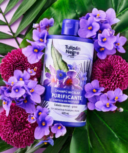 Champú micelar - Tulipán negro